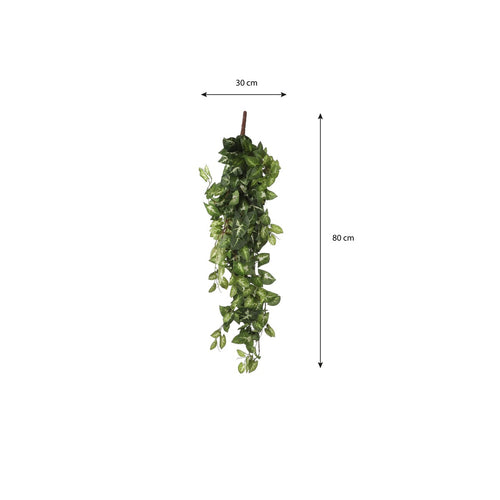 Mica Decorations Fittonia Kunst Hangplant - L15 x B30 x H80 cm - Groen