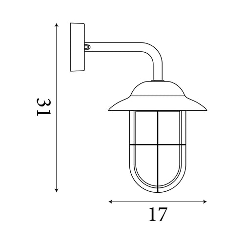 Searchlight buitenlamp Toronto - 1 lichts - 24  x 31   cm - mat chroom transparant