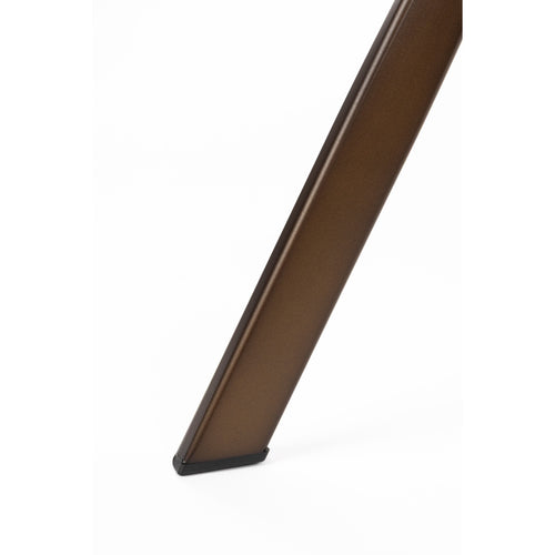 Dutchbone Franky Eetkamerstoelen Cognac - Set van 2