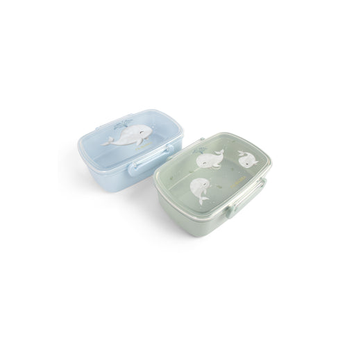 FiliBabba Lunchbox 18 x 6 x 14 cm – Multicolor kunststof
