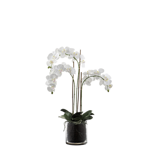 Sia Deco Orchidee Compositie Met Vaas - wit - transparant - H90 - vtwonen shop