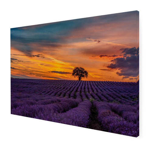 Art for the Home Buitencanvas - Lavendelveld bij zonsondergang - 50x70cm