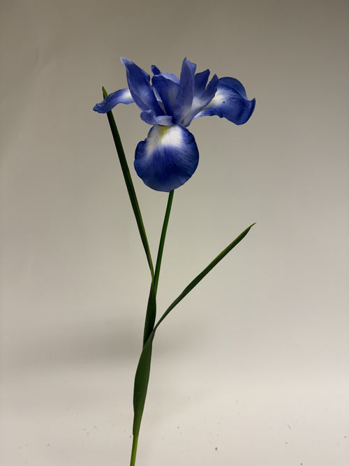 My Flowers.shop Blauwe iris zijden bloem | Lengte 55 centimeter | Per stuk - vtwonen shop