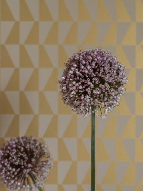 Borastapeter behang geometrische vormen goud - 53 cm x 10.05 m - 660763 - vtwonen shop