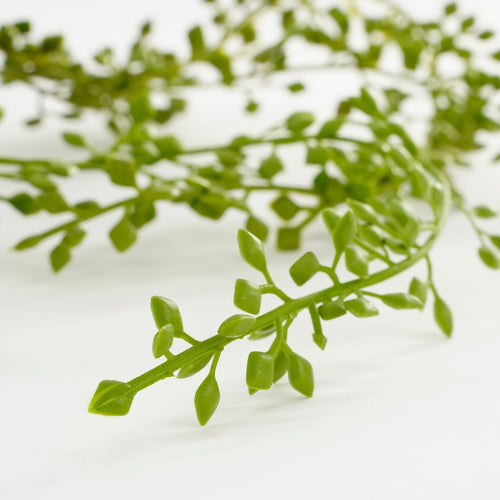 Mica Decorations Senecio Kunst Hangplant in Pot - H68 x Ø9 cm - Groen