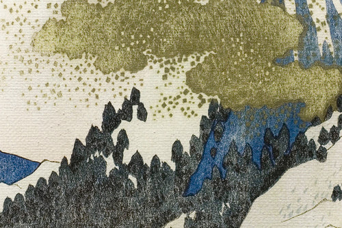 Canvas 60x40 Fuji - vtwonen shop