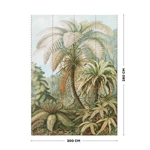 Art for the Home Fotobehang - Jungle Filicinae - 280x200cm - vtwonen shop