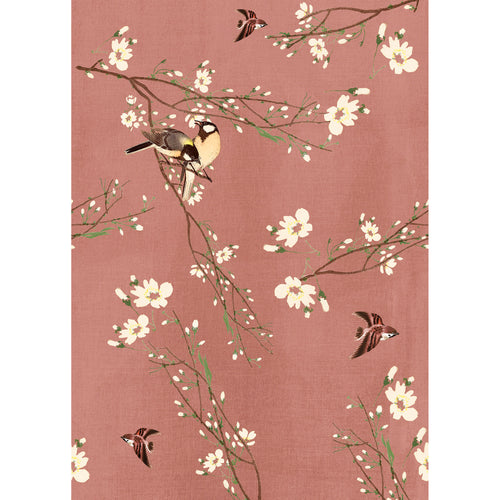 Superfresco Easy Fotobehang - Birds & Blossom - 200x280cm