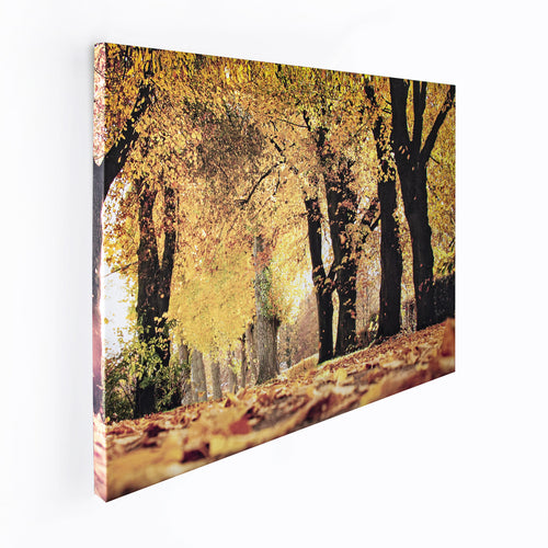 Art for the Home Canvas - Herfst - 75x100cm - vtwonen shop