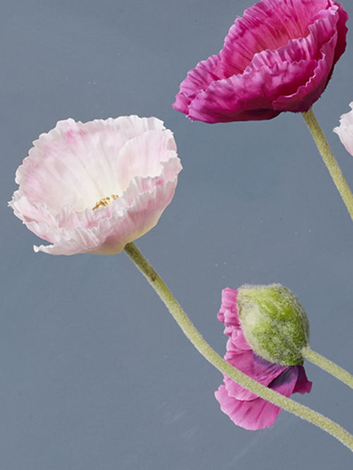 Madame Fleurie Pure Poppy Boeket – Luxe Zijden bloemen Klaprozen – Minimalistisch & Stijlvol – Zonder Vaas - 12cm x 29,5cm