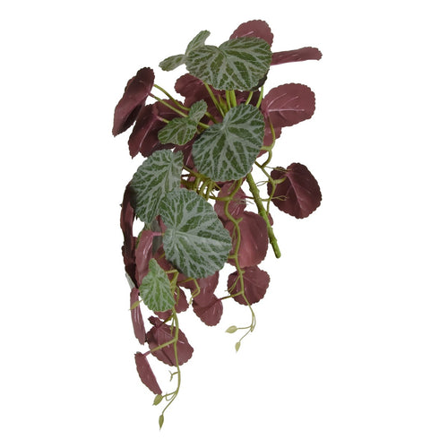 Maxifleur Saxifraga kunst hangplant 45cm - groen/rood