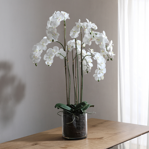 Sia Deco Orchidee Compositie Met Vaas - wit - transparant - H126 - vtwonen shop