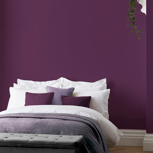 Graham & Brown Damson in Distress - Matte Muurverf Afneembaar - 4L