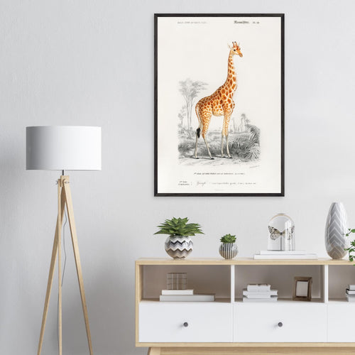 Artfulprints Poster Charles Dessalines d'Orbigny - Giraffe (giraffa camelopardalis)   - 30x40 cm - Oranje