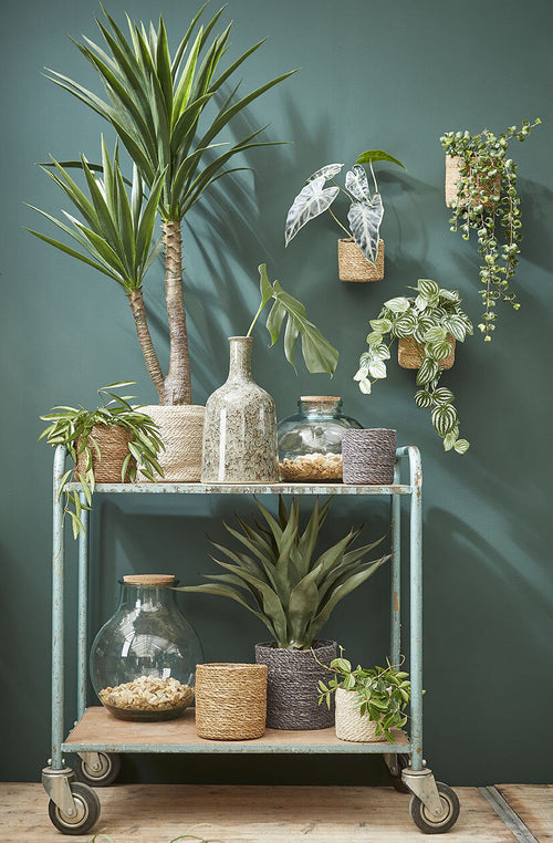 Mica Decorations Yucca Kunstplant - H120 x Ø60 cm - Groen - vtwonen shop