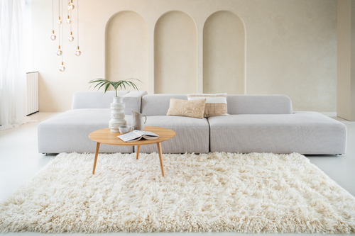 Vloerkleed MOMO Rugs Snow White Plain Ivory 250x350 cm - vtwonen shop