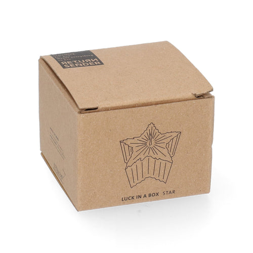Return to Sender Kaars wit ster in craft doosje - vtwonen shop