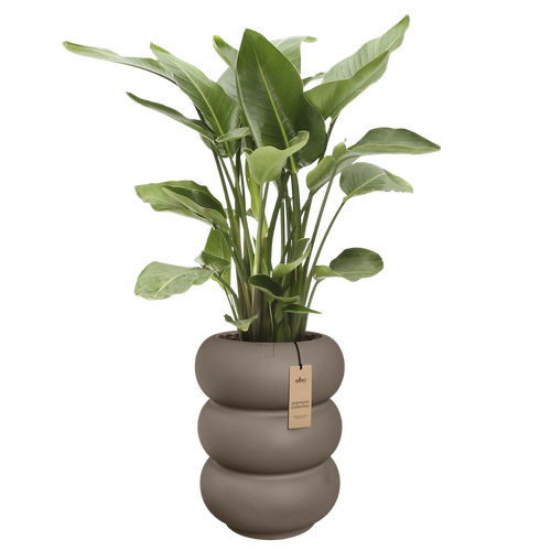 elho amber roll high 43 burnt umber | Bloempot |Premium statementdesign