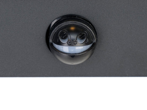 EGLO wandlamp buiten Alamonte - e27 - 29,5 cm - zwart - sensor