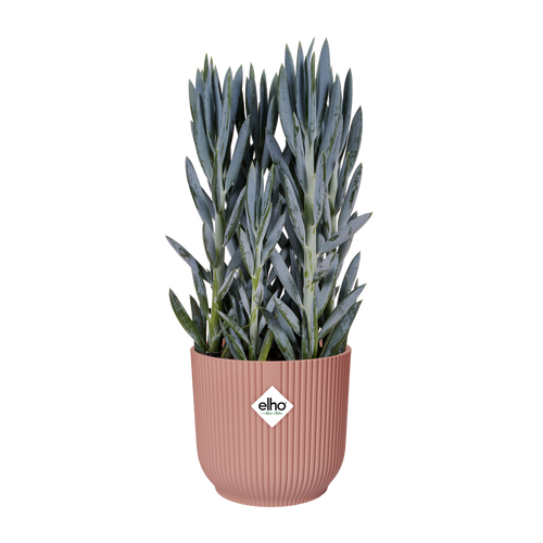 elho vibes fold rond 47 delicaat roze | Bloempot | Modern decoratief ribpatroon