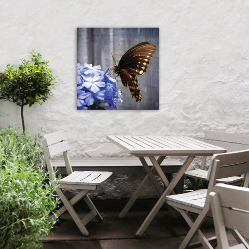 Art for the Home Buitencanvas - Vlinder op een bloem - 50x50cm