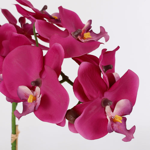 Mica Decorations Phalaenopsis Kunstplant in Bloempot Tusca - H60 x Ø16 cm - Paars - vtwonen shop
