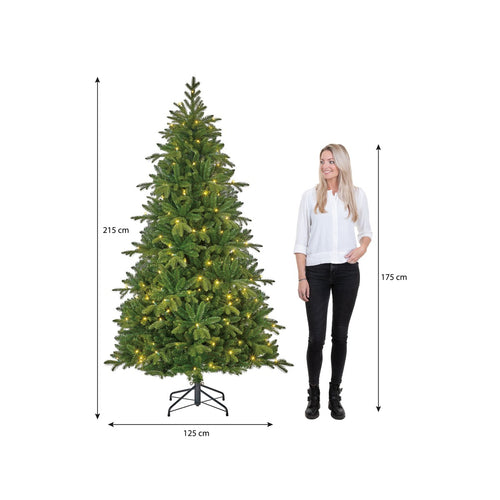 Black Box Trees Brampton Kerstboom met Verlichting - Kunstkerstboom Slim Model met 240 LED Lampjes - Kerstversiering voor Binnen - Extra Smal - H215 x