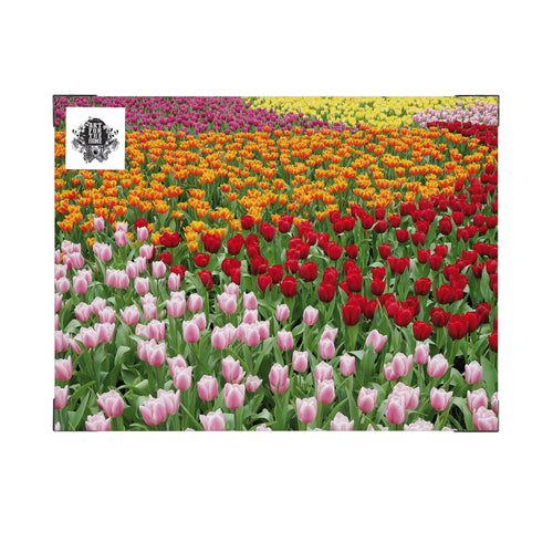 Art for the Home Buitencanvas - Nederlands Tulpenveld - 50x70cm