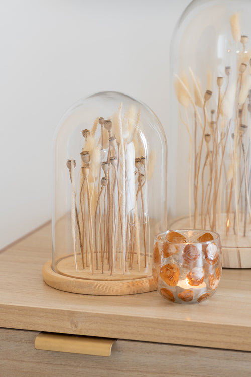 J-Line Decoratieve stolp Droogbloemen - glas/hout - ecru/bruin - large