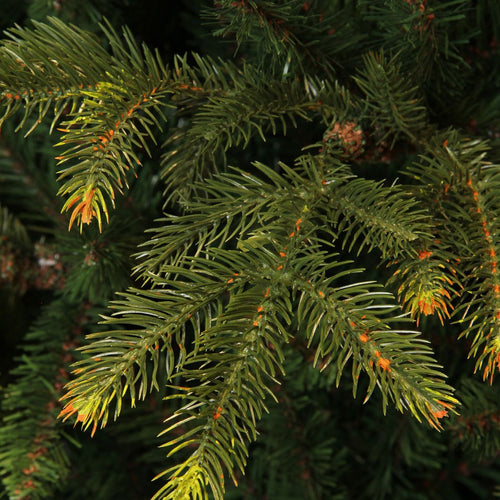 Black Box Trees Frasier Kunstboom - Kerstboom met Grillige Natuurlijke Vorm - PE Naalden en Scharnierconstructie - Kerstversiering voor Binnen - H155