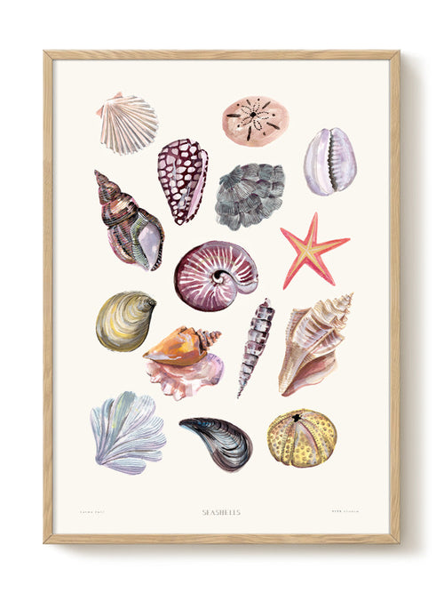 Laura - Seashells - PSTR studio Kunst Poster - vtwonen shop