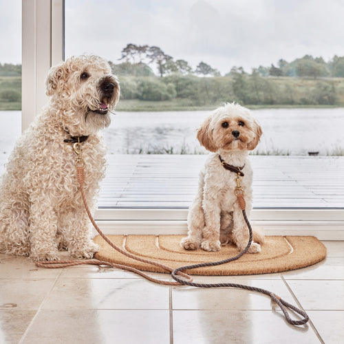 OYOY Hondenriem 160 cm – Beige leer