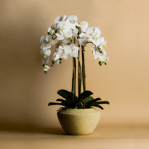 Sia Deco Orchidee Compositie Kunstmatig - wit - H86 - vtwonen shop