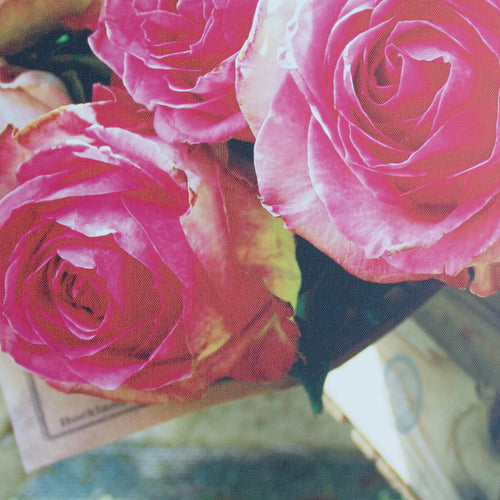 Art for the Home Buitencanvas - Romantische Rozen - 70x50cm