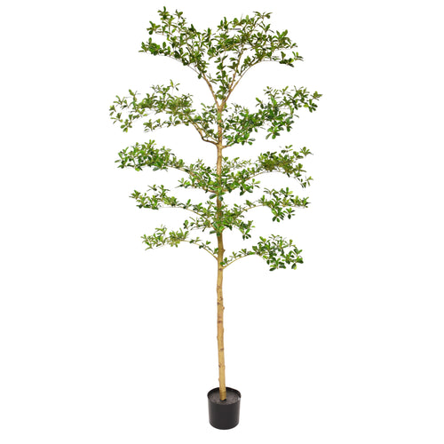 Maxifleur Bucida Buceras Kunstboom 210cm NT groen