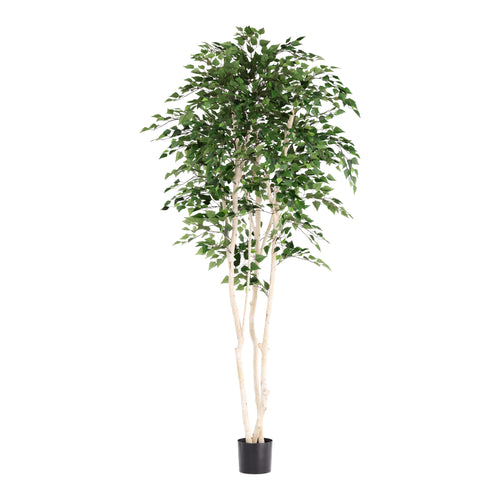 Maxifleur Kunst Berkenboom 250cm Deluxe