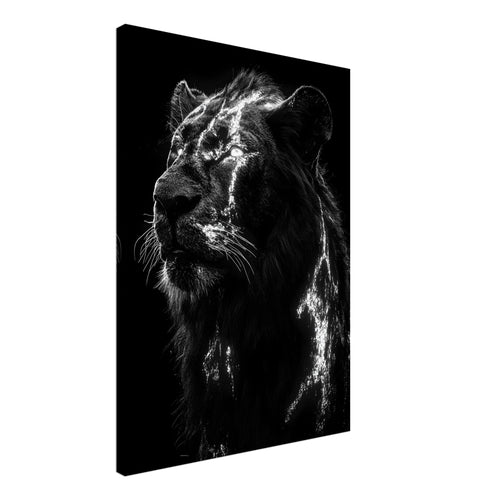 Artfulprints Canvas Lion portrait canvas - 50x70 cm - Zwart / Wit