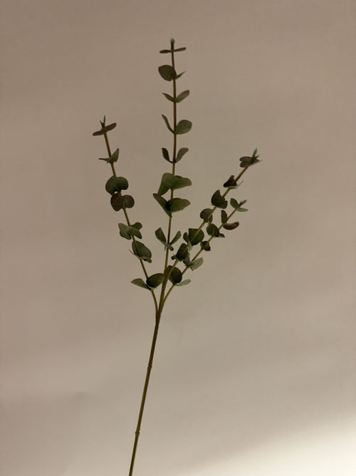 My Flowers.shop Groene zijden Eucalyptus | Zijden bloemen | Lengte 60 centimeter | Per stuk - vtwonen shop