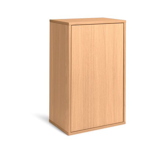 ReCollector Opbergdoos Wandkast 30 x 43 x 70 cm – Eikenfineer