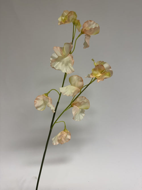 My Flowers.shop Lichtgele lathyrus zijden bloem | Lengte 58 centimeter | Per stuk - vtwonen shop