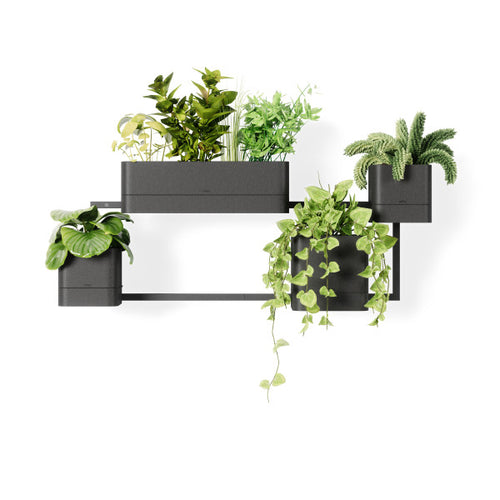Umbra Cubiko wandplantenbak - vtwonen shop
