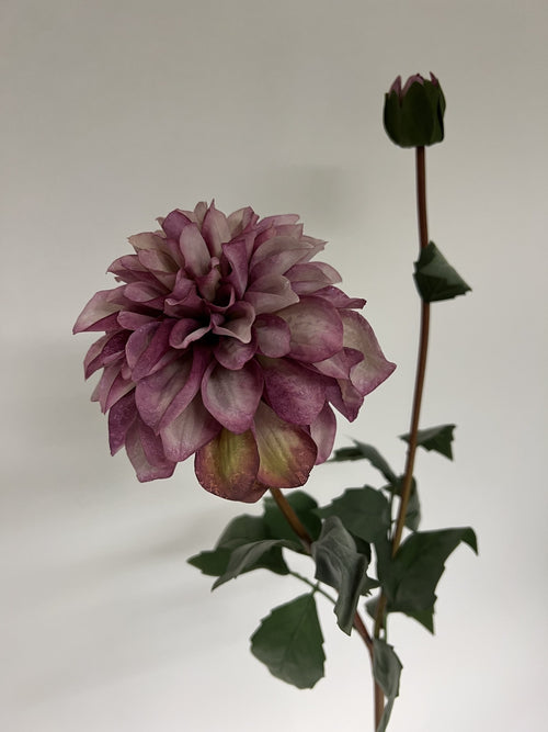 My Flowers.shop Roze dahlia zijden bloem | Lengte  75 centimeter | Per stuk - vtwonen shop