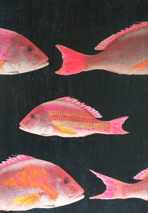 Catchii poster Fluor visjes - meerkleurig - 297x210 cm