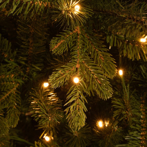 Black Box Trees Harma Kunst Kerstboom met Verlichting - Kunstkerstboom H260 x Ø73 cm - met Timer en Dimmer - Groen