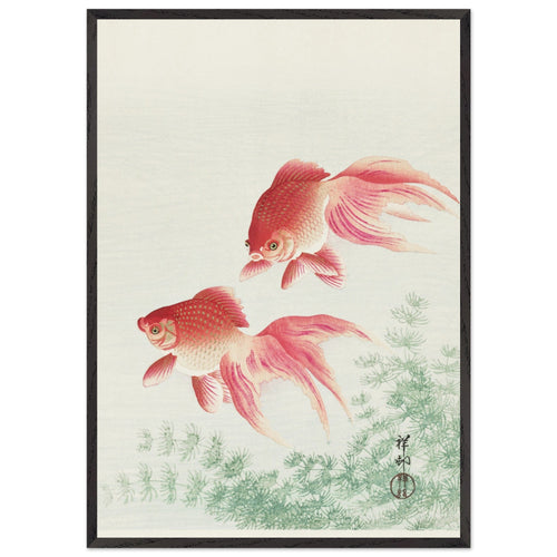 Artfulprints Poster met Lijst Ohara Koson - Two veil goldfish   - 70x100 cm - Meerkleurig