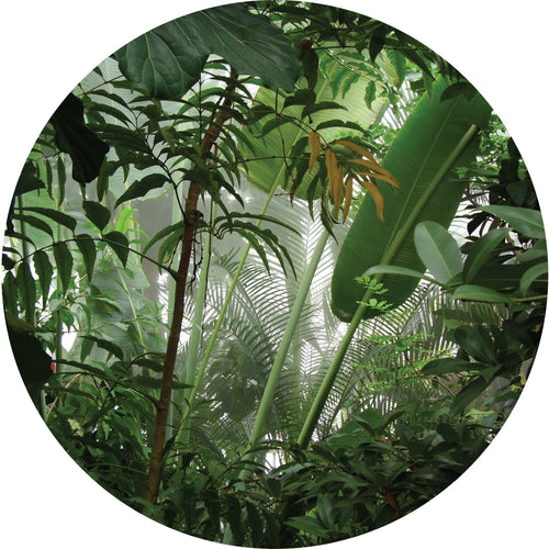 Sanders & Sanders zelfklevende behangcirkel tropische jungle bladeren groen Ø 70 cm 601100