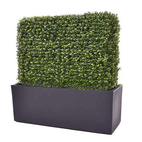 Maxifleur Buxus kunstheg 80x25x56cm - UV bestendig