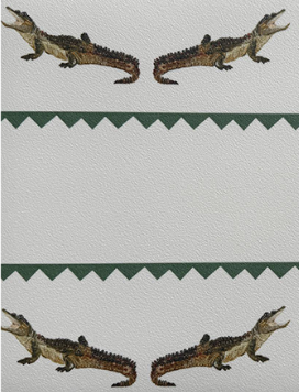 Catchii Placemat Crocodile Sam groen - vtwonen shop