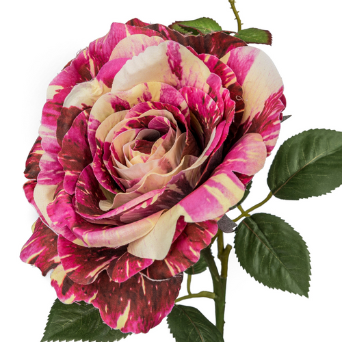 Flourify kunstbloem - Roos - 72 cm - bundel van 5 - vtwonen shop