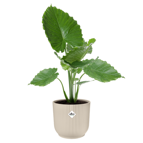 elho vibes fold rond 35 linnen wit | Bloempot | Modern decoratief ribpatroon